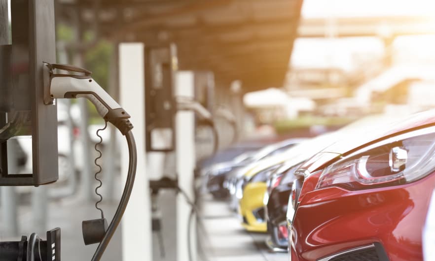 A row of electric cars parked at charging stations.
